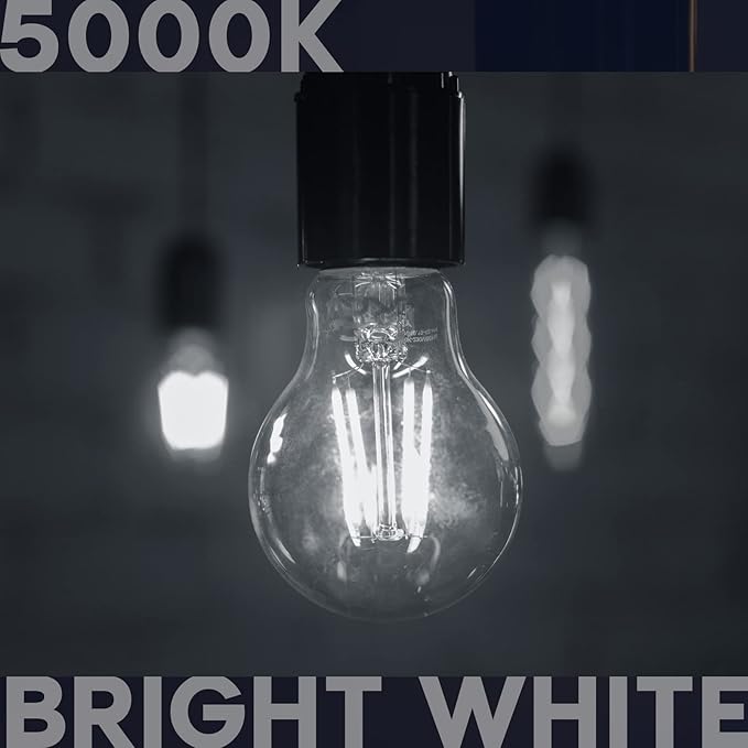 Vintage A19 LED Edison Light Bulb 100W Equivalent 12W Dimmable 5000K Bright White E26 Clear Glass