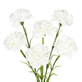 White Carnations Artificial Flowers,6Pcs Real Touch Fake Carnations 20'' Long Stem Faux Flowers For Tall Vases Home Wedding Party Table Centerpieces Decor (White)