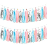 Gender Reveal Tissue Paper Tassel Banner for Wedding,Birthday,Baby Shower Party Decorations?DIY Kits?Pink?Blue?Silver?15PCS