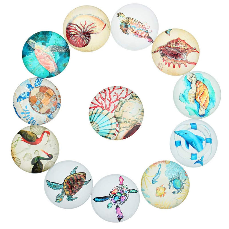 20Pcs Sea Animal Printed Glass Round Dome Cabochons Tiles Flat Back Glass Dome