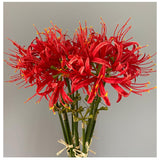 4 Stems 26.38'' Artificial Spider Lily Flowers Lycoris Radiata For Home Garden Decoration Red