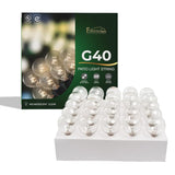 G40 26Ft Indoor/Outdoor Clear Incandescent Christmas String/Patio Light With 25 Bulbs And E12 Base | 120V, 5W