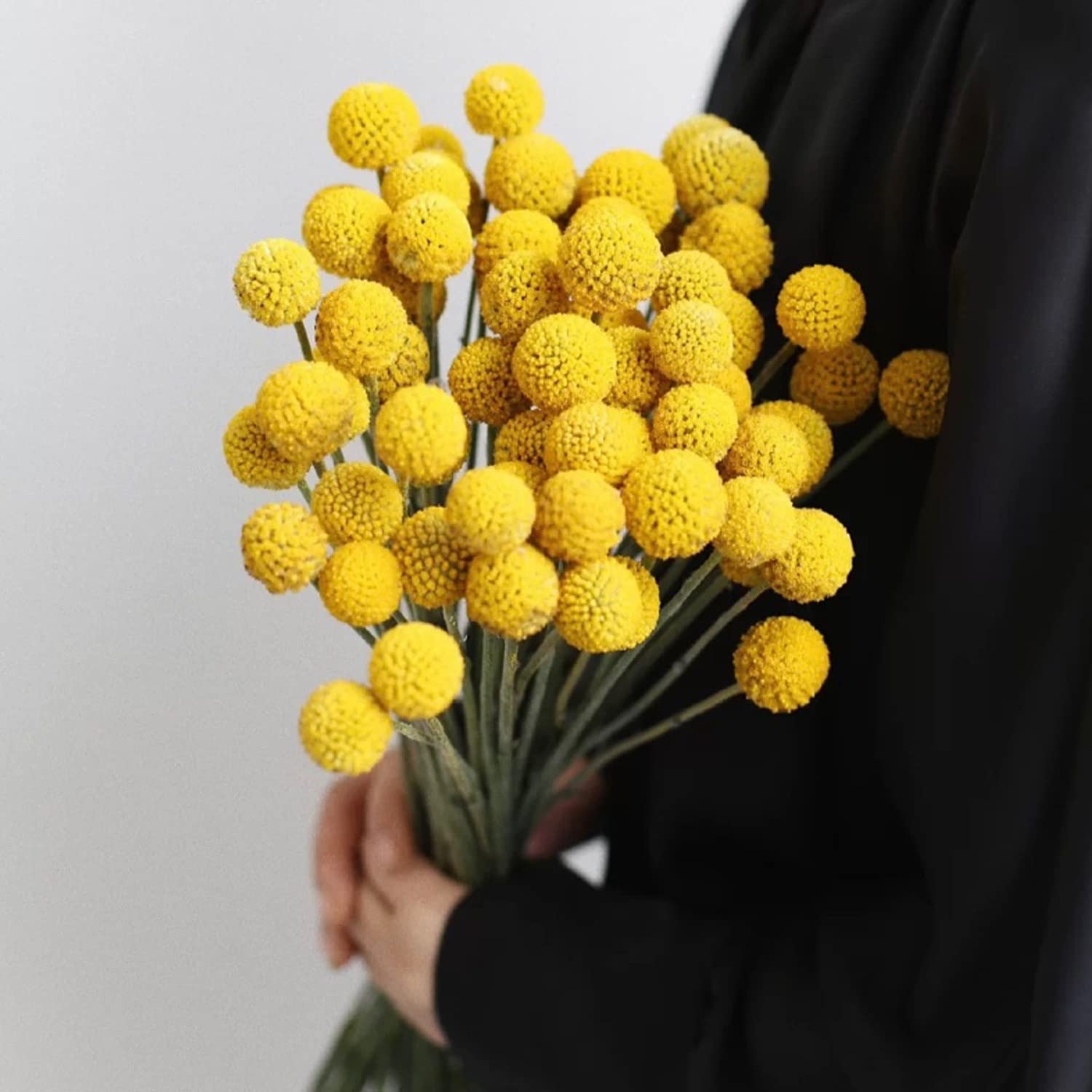 Billy Balls 20 Pcs Golden Ball Flower Bouquet - Dried Craspedia Globosa For Diy Crafts, Wreaths, Home Decor, Cake Decor, Wedding Decor, Party Centerpieces