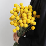 Billy Balls 20 Pcs Golden Ball Flower Bouquet - Dried Craspedia Globosa For Diy Crafts, Wreaths, Home Decor, Cake Decor, Wedding Decor, Party Centerpieces