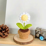 Cute Knitted Flower Plant, Kawaii Handmade Crochet Flowers,Small Potted Artificial Flower Plants, Desk Home Car Dashboard Decorations (Daisy-White)