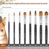 Watercolor Brushes Professional, 8Pcs Sable Paint Brush Set Variety Shapes With Flat, Round Pointed, Cat'S Tongue Oval Wash Perfect For Watercolor Acrylic Gouache Inks Painting