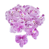 50 Pcs Orchid Petals Artificial Decorations Orchids Heads Flowers Faux Silk Phalaenopsis Butterfly Flower Heads For Handmade Diy Home Wedding Party Decoration (Light Purple)
