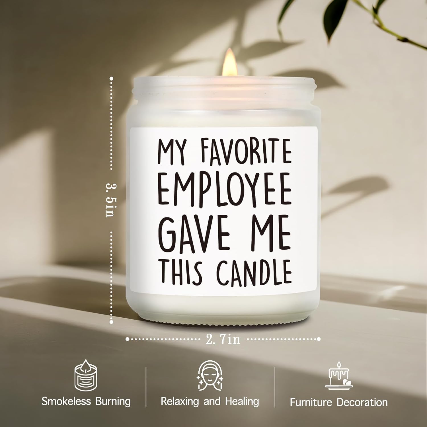 Funny Office Humor Scented Candle Gift For Boss Women Men, My Favorite Employee Gave Me This, Thanksgiving Christmas Boss Day Birthday Candles Gifts For Boss Leaders Employers Coworkers-51