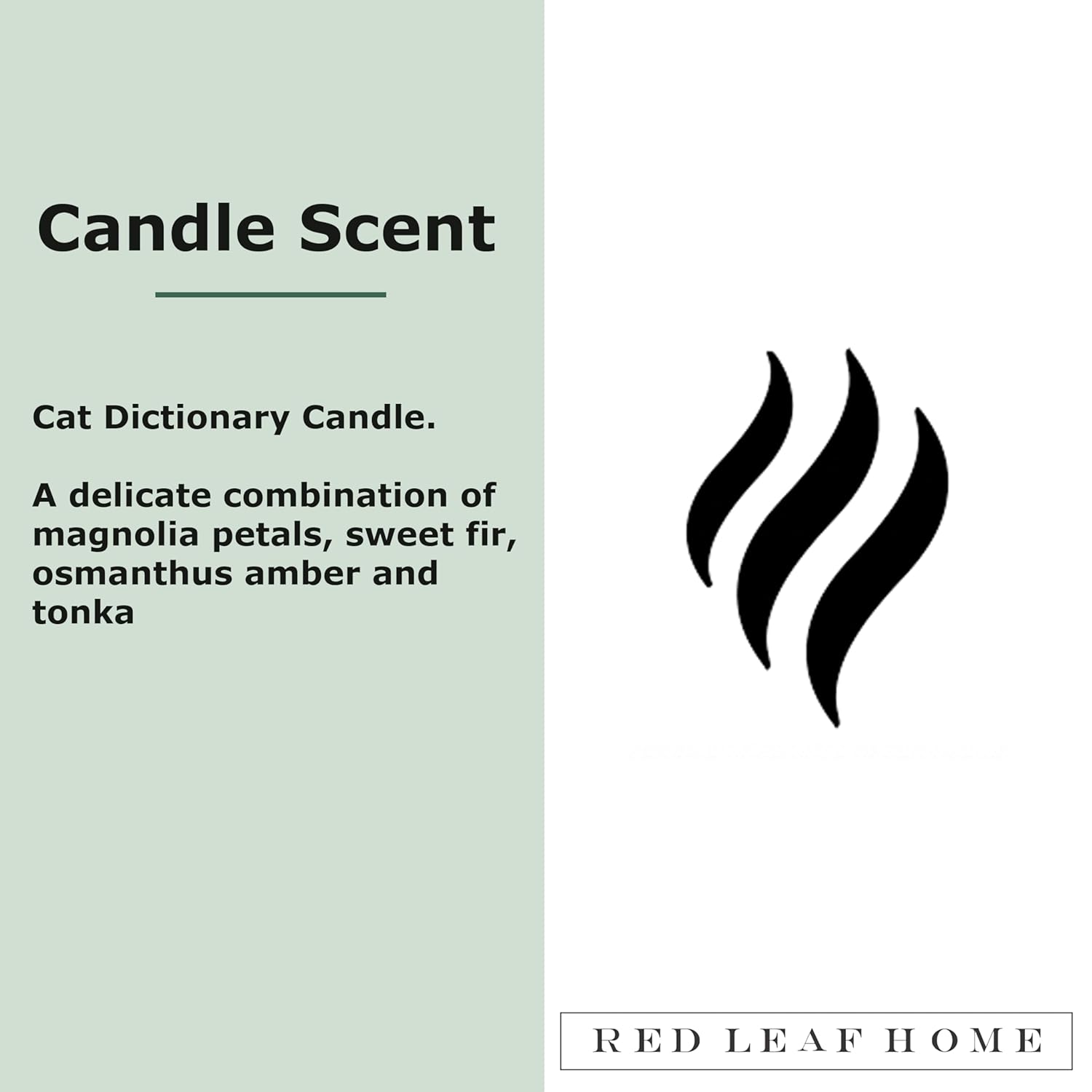| Cat Dictionary, Jar Candle | Pet Collection, Large | Gift Idea | 15.5Oz