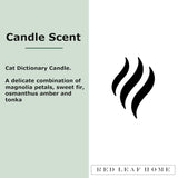 | Cat Dictionary, Jar Candle | Pet Collection, Large | Gift Idea | 15.5Oz