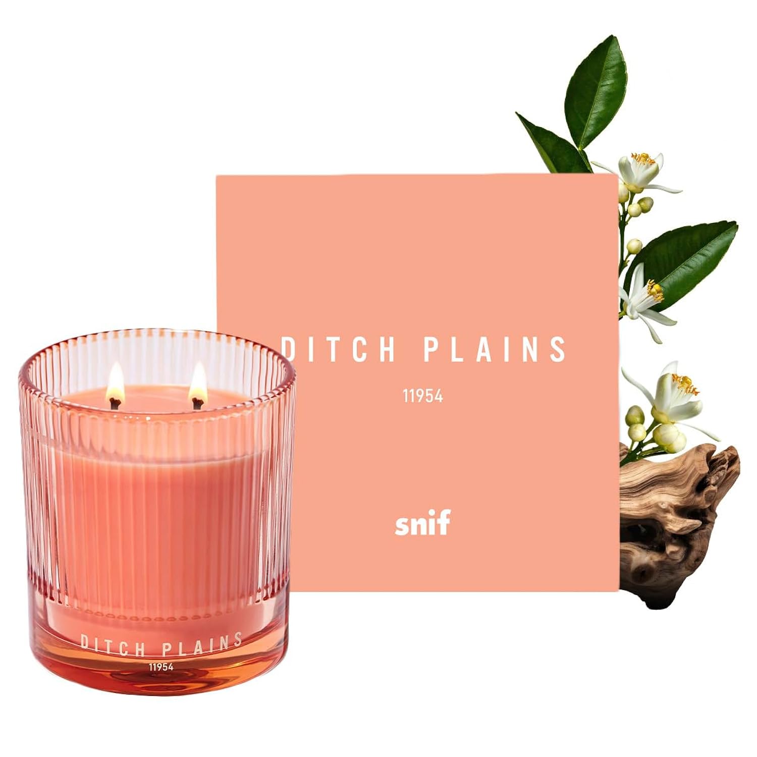 Ditch Plains Scented Candle By , Neroli And Cedarwood, 50+ Hours, 100% Cotton Fiber Wicks, Soy Wax Blend, Non-Toxic, Vegan, 8.5 Oz
