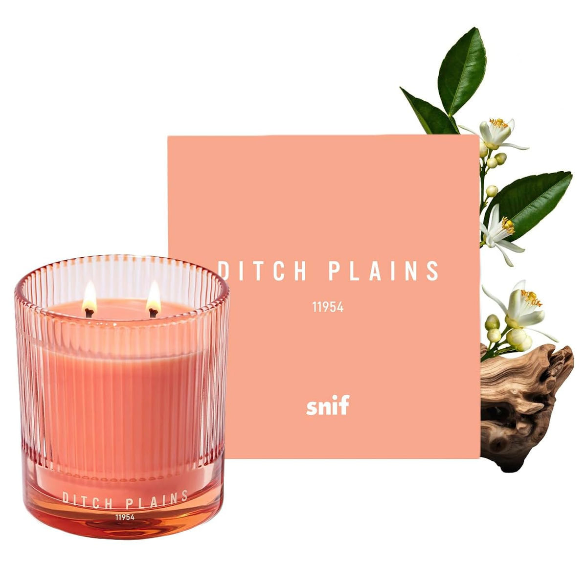 Ditch Plains Scented Candle By , Neroli And Cedarwood, 50+ Hours, 100% Cotton Fiber Wicks, Soy Wax Blend, Non-Toxic, Vegan, 8.5 Oz