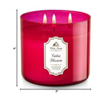 White Barn 3 Wick Candle 14.5 Ounce, Cactus Blossom