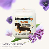 Dachshund Gifts For Women, Dachshund Decor Candle Gifts For Women Lavender Scented, Dachshunds Candle, Weenies Decor, Weiners Dog Stuff, Funny Weenie Dog Gift For Home Mom Friends Coworker