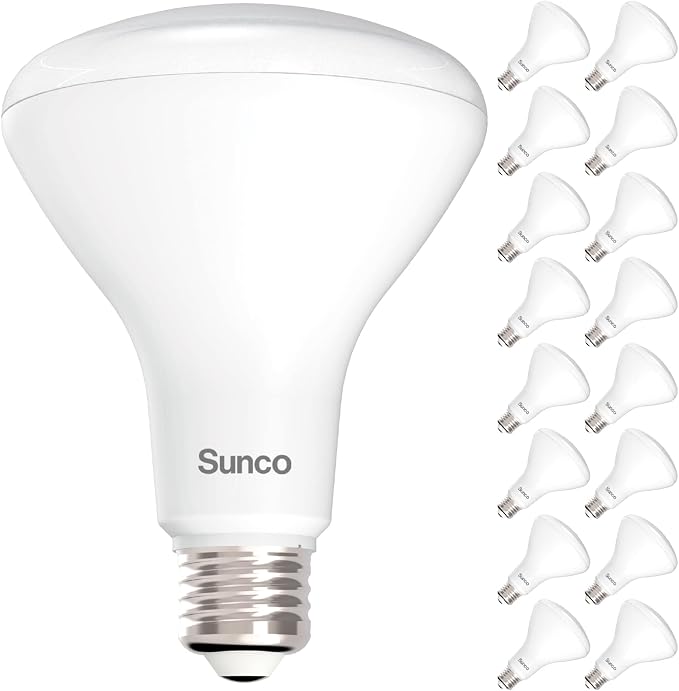 BR30 LED Light Bulbs 16 Pack Dimmable Recessed Can Flood Lights 850LM 65W Equivalent Soft White