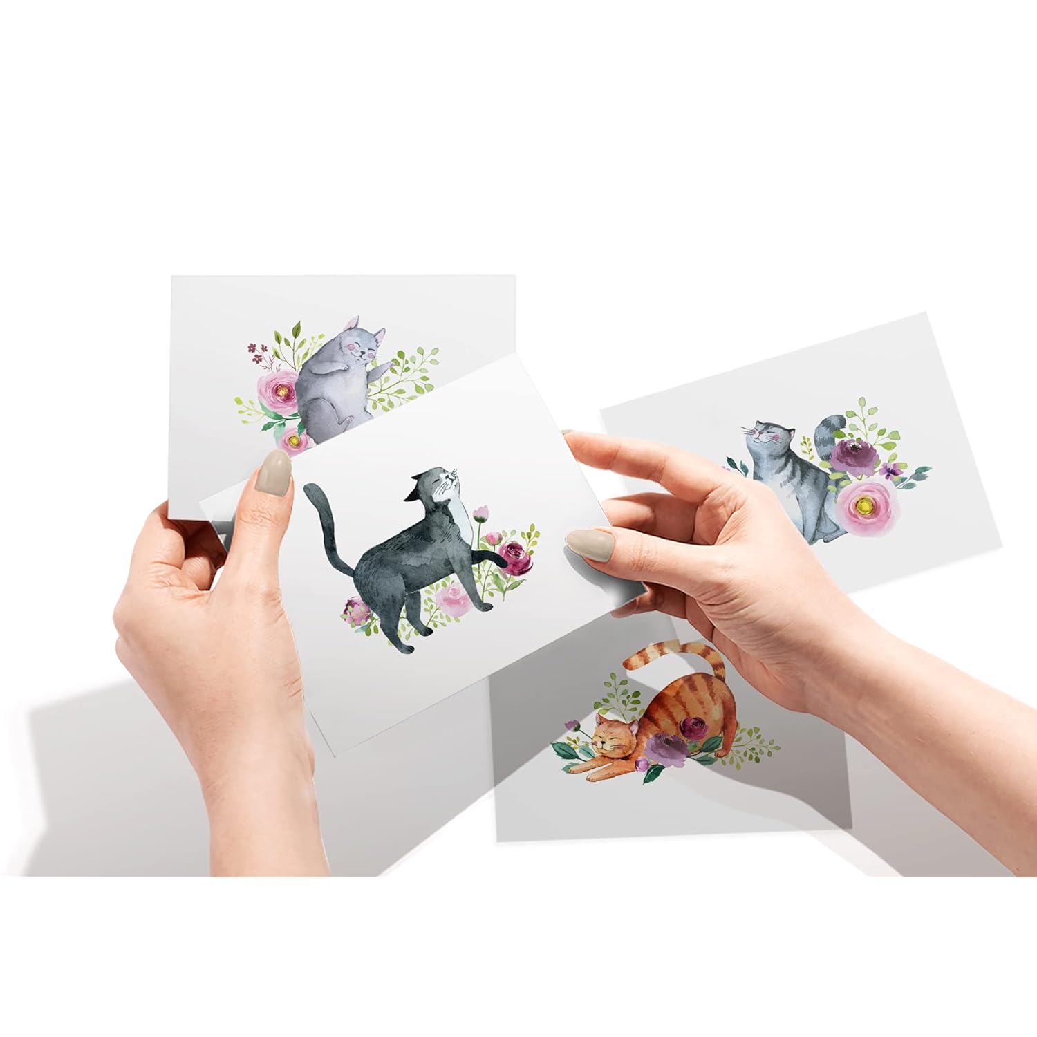 Paper - Assorted Cat Greeting Cards - Stationery Cards With Envelopes - Thank You Card - Blank Note Cards - Greeting Cards For All Occasions - Made In Usa (5.5 X 4.25, Set Of 12)