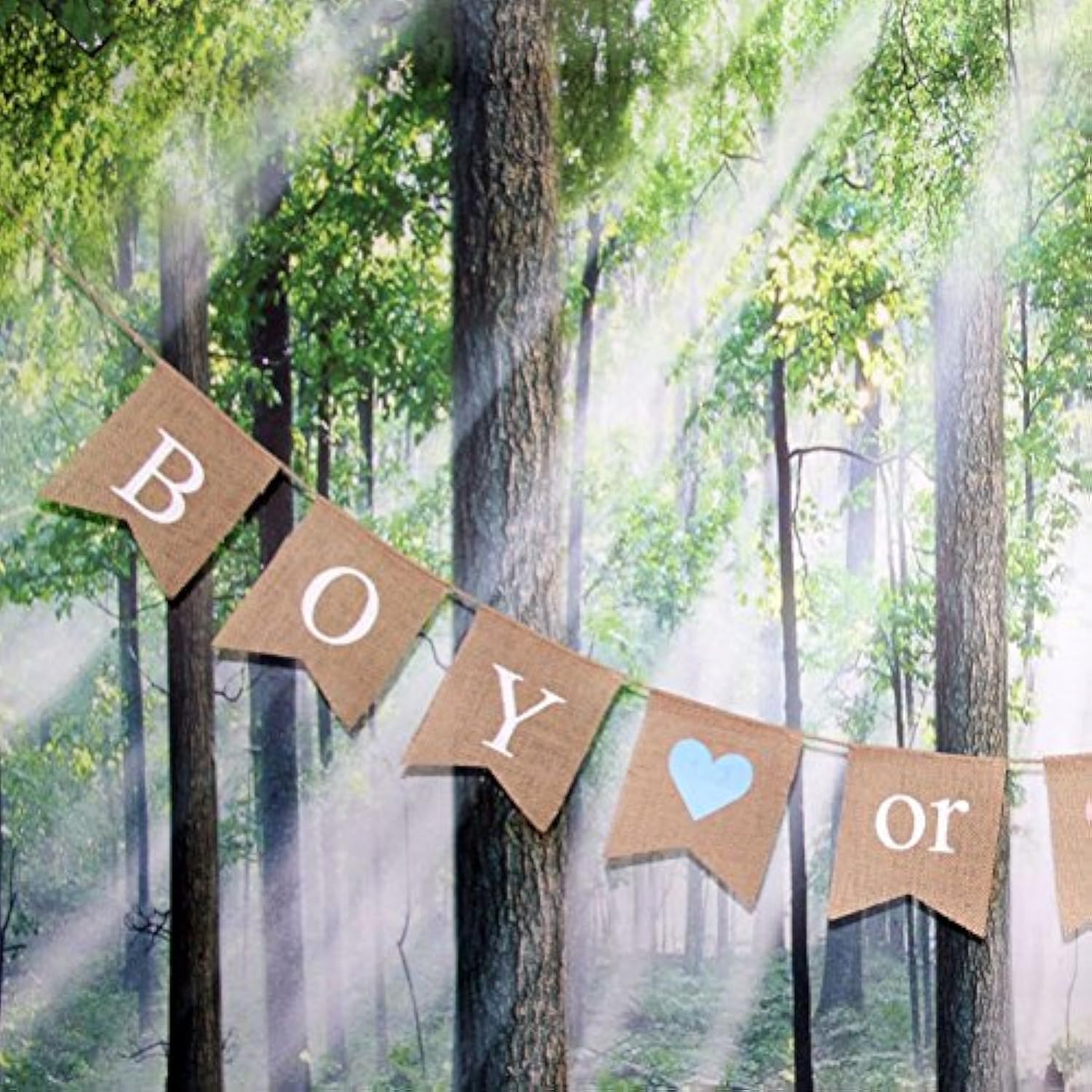 Gender Reveal Party - Baby Shower Decorations - "Boy Or Girl" Burlap Banner By Akak Store - Pregnancy Announcement