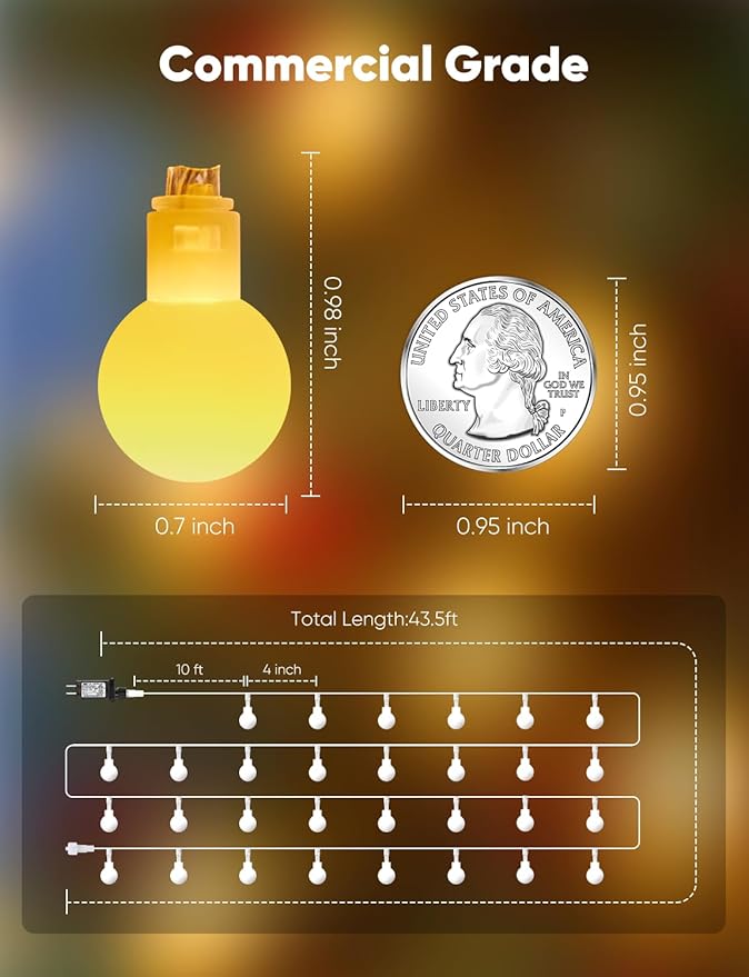 33FT 100 LED Globe String Lights Plug In Warm White Fairy Lights with Remote 8 Modes for Bedroom Wedding Garden Christmas Tree Decor