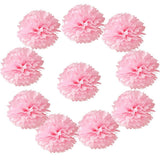 10pcs Tissue Hanging Paper Pom-poms Flower Ball Wedding Party Outdoor Decoration, Premium Tissue Paper Pom Pom Flowers Craft Kit(Pink)