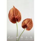 Artificial Anthurium Flowers, 8Pcs Terracotta Faux Greenery Stems, Burnt Orange Silk Filler Plants For Diy Wedding Bouquets Centerpieces Arrangements Bridal Shower Party Home Decorations
