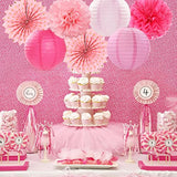Rose Hot-Pink Valentines-Day Party-Decorations Streamers - 14Pc Girl Birthday Baby Shower Paper Lanterns Fan,Tissue Pom Poms,Honeycomb Balls,Bachelorette Bridal Wedding Supplies Decor