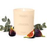 Eucalyptus, Fig & Sandalwood – Scented Candle For Home | 8Oz, 45-Hour Burn | Natural Soy Wax, Cotton Wick | Malibu Sands Collection, Gift For Women & Men