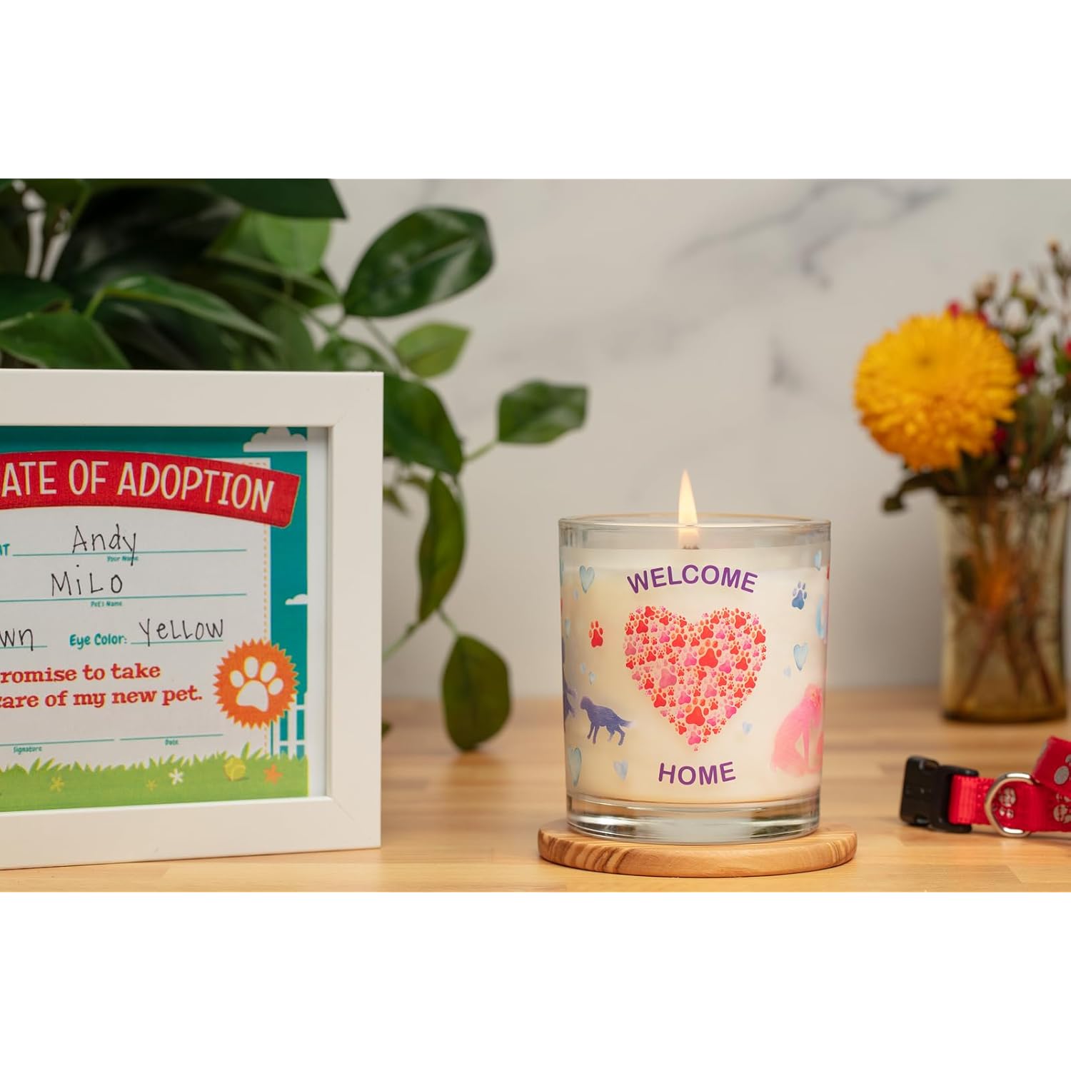 Welcome Home Candle - Pet Odor Eliminator - Non-Toxic Scented Candle, Gotcha Day Gift