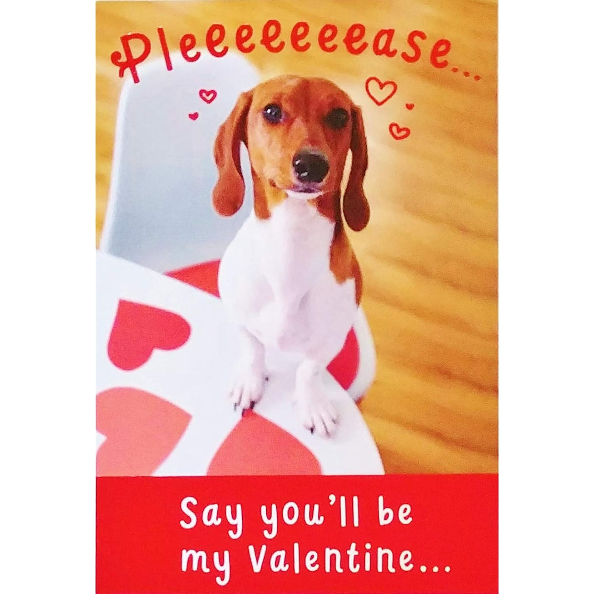 Pleeeeeeese Say You'Ll Be My Valentine - Cute Happy Valentine'S Day With Dachshund Wiener Doxie Dog