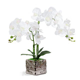 Orchid With Silver Vase Artificial Flowers White Fake Orchid Plant Phalaenopsis Orchid Artificial Arrangements Flower Bonsai With Silver Ceramic Pot For Party Home Decor Table Centerpieces