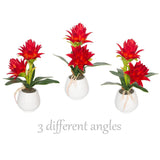 Red Potted Bromeliad - Artificial Flowers With Vase For Home And Office Decor, Aesthetic Faux Tropical Plant Bonsai, 13.4 Inch