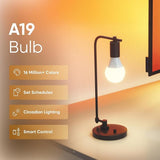 Matter Smart LED Light Bulbs 2 Pack A19 E26 RGBTW Color Changing 1000LM Alexa Google Home Compatible