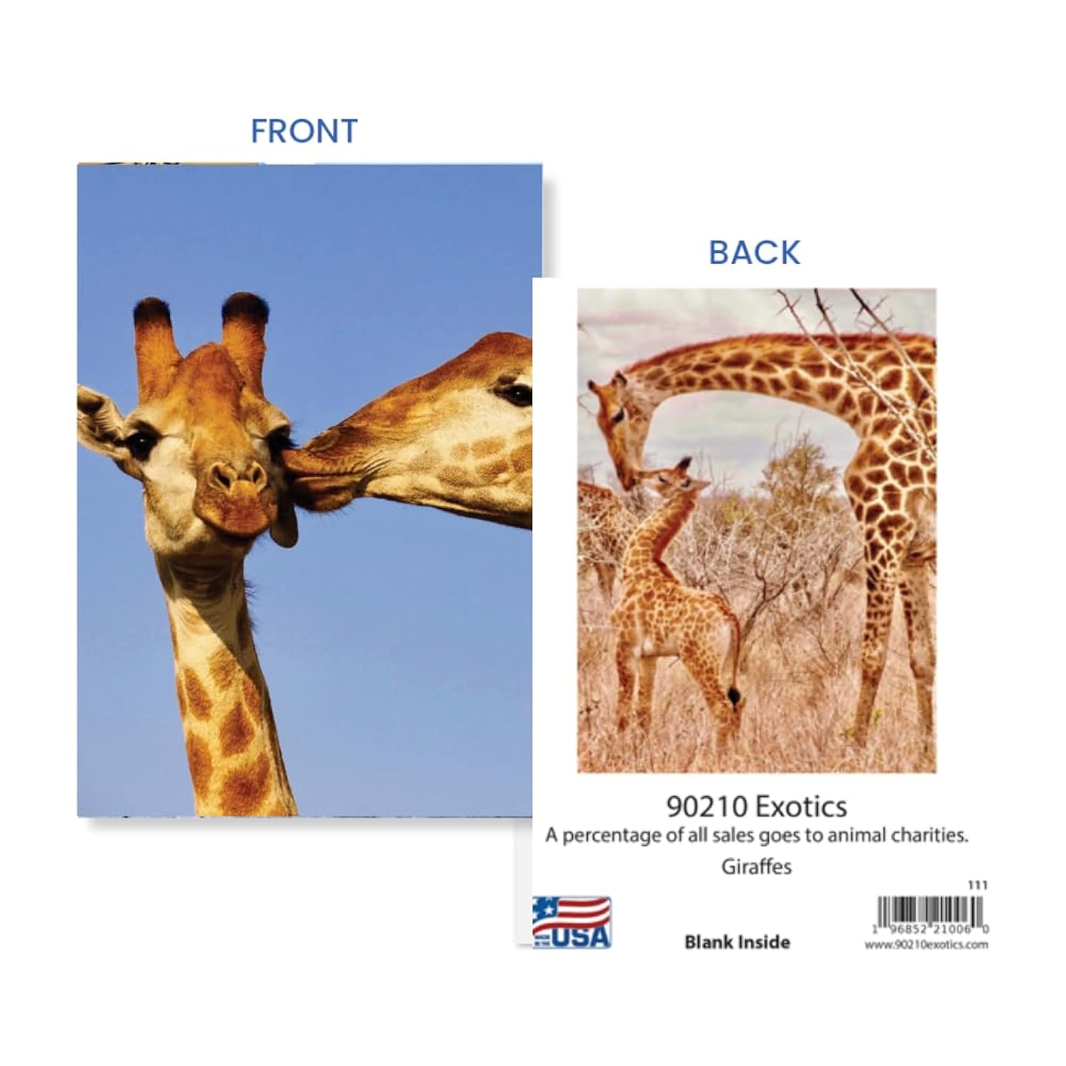 Adorable Giraffe Greeting Card – Romantic & Funny For Love, Friendship, Birthdays & Anniversaries - Larger Size 5X7- Blank Inside For All Occasions - For Nature & Animal Lovers - Wildlife Photography