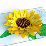 Everyday Pop-Up Card For Her And Him - 3D Greeting Cards For Boys, Girls, Men, Women - For My Wife Sunflower - 5" X 7" Card - Blank Notecard & Envelope Included