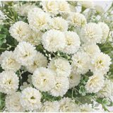 2Pcs Small Carnation Artificial Flowers Bulk Fake Flower With Stems Silk Carnation Flowers For Outdoors Wedding Home Hotel Decorations (White)