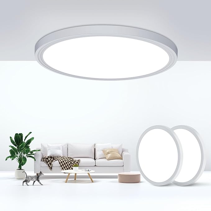 2 Pack 24W Flat LED Ceiling Lights 6000K 2200LM Ultra Thin White Fixtures