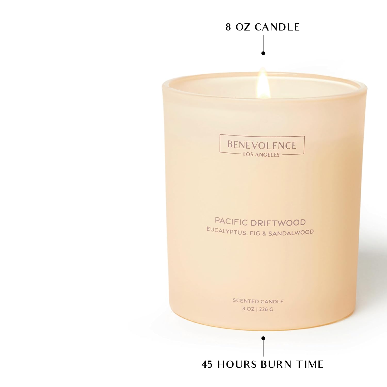 Eucalyptus, Fig & Sandalwood – Scented Candle For Home | 8Oz, 45-Hour Burn | Natural Soy Wax, Cotton Wick | Malibu Sands Collection, Gift For Women & Men