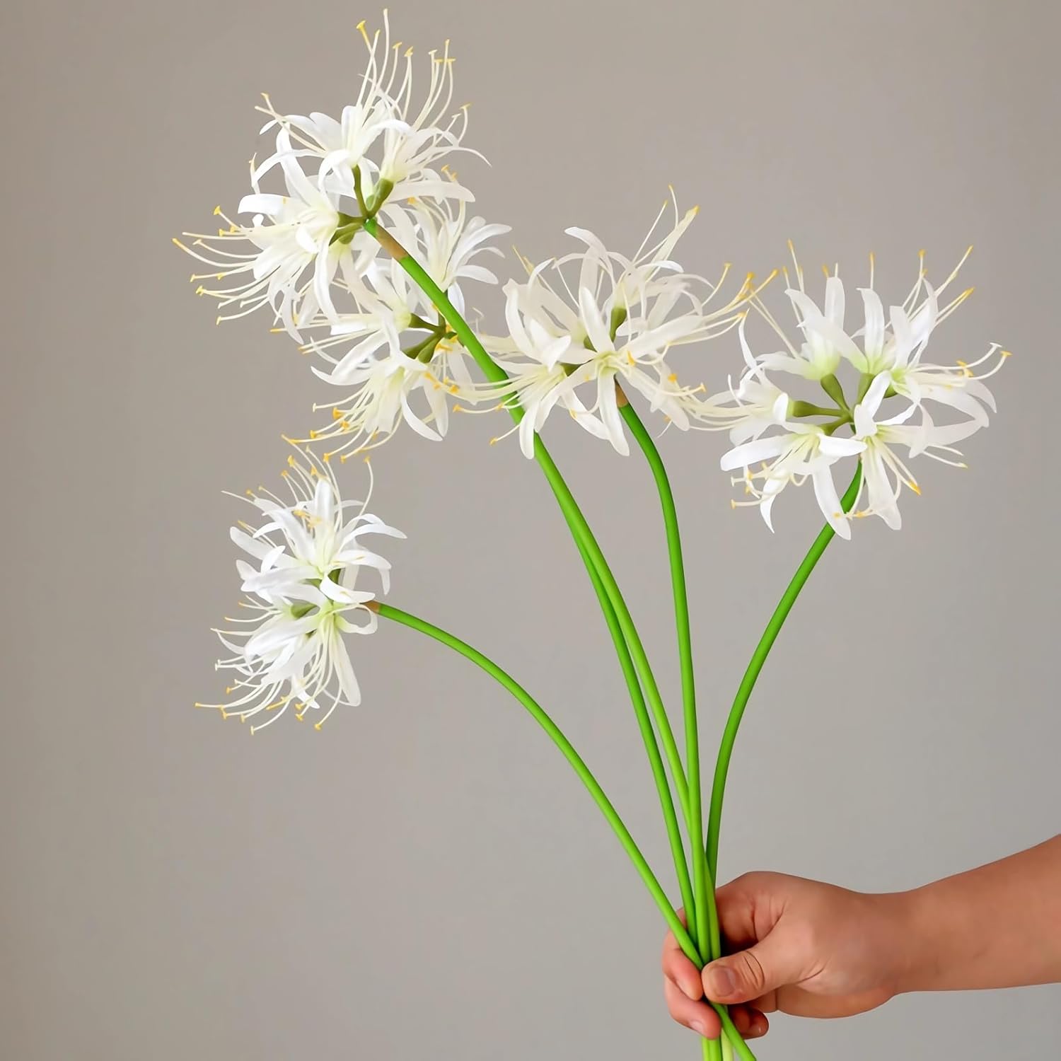 4Pcs Artificial White Spider Lily Flowers 26" Faux Lycoris Radiata Silk Equinox Flowers For Vase Bouquets Home Office Wedding Decor(White)