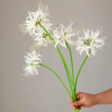 4Pcs Artificial White Spider Lily Flowers 26" Faux Lycoris Radiata Silk Equinox Flowers For Vase Bouquets Home Office Wedding Decor(White)