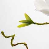 Faux Flowers In Vase 15.4" Magnolias Flowers Arrangement With Faux Water Real Touch Flowers For Wedding Table Centerpiece Home Decor, White