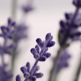 Artificial Lavender Flowers With Silk Flocked Fake Lavender Plant For Wedding Home Table Centerpiece Decor-Pack Of 4