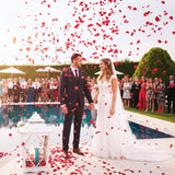 2000 Pcs Red Rose Petals, Artificial Fake Rose Petals For Marry Me, Proposal, Anniversary, Valentine'S Day, Romantic Decorations Special Night, Wedding Table Decor