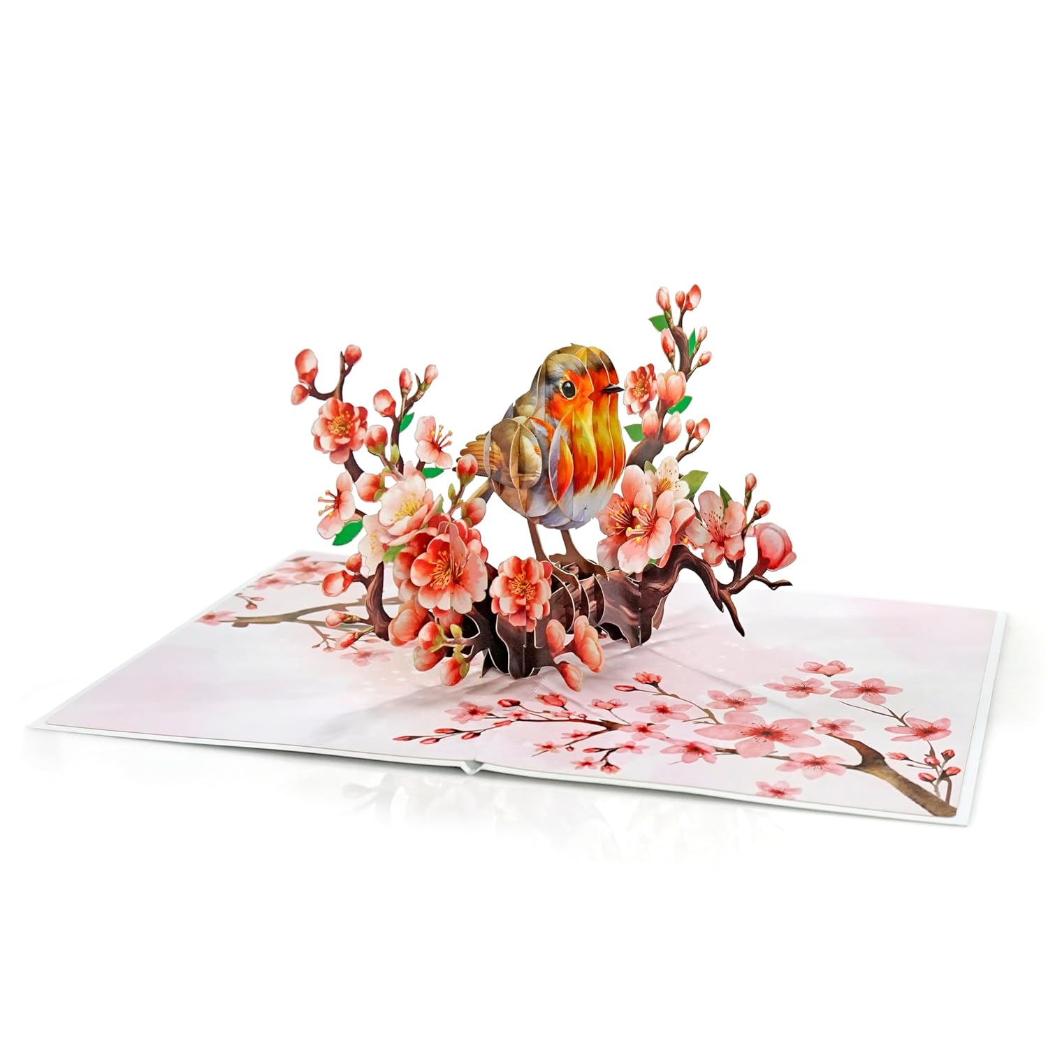 Cutpopup Robin Birthday Card Pop Up, Mothers Day, 3D Popup Greeting Card (Robin Cherry)