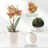 4Pcs Artificial Flowers Orchid Fake Phalaenopsis Small Potted Plant Ceramic Vase For Table Centerpiece Home Office Bathroom Wedding Decor