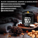 Gifts For Dad From Daughter, Son, Funny Dad Gifts, Birthday Gifts For Dad, Fathers Day And Christmas Gifts For Dad, 9Oz Sandalwood Scented Candle