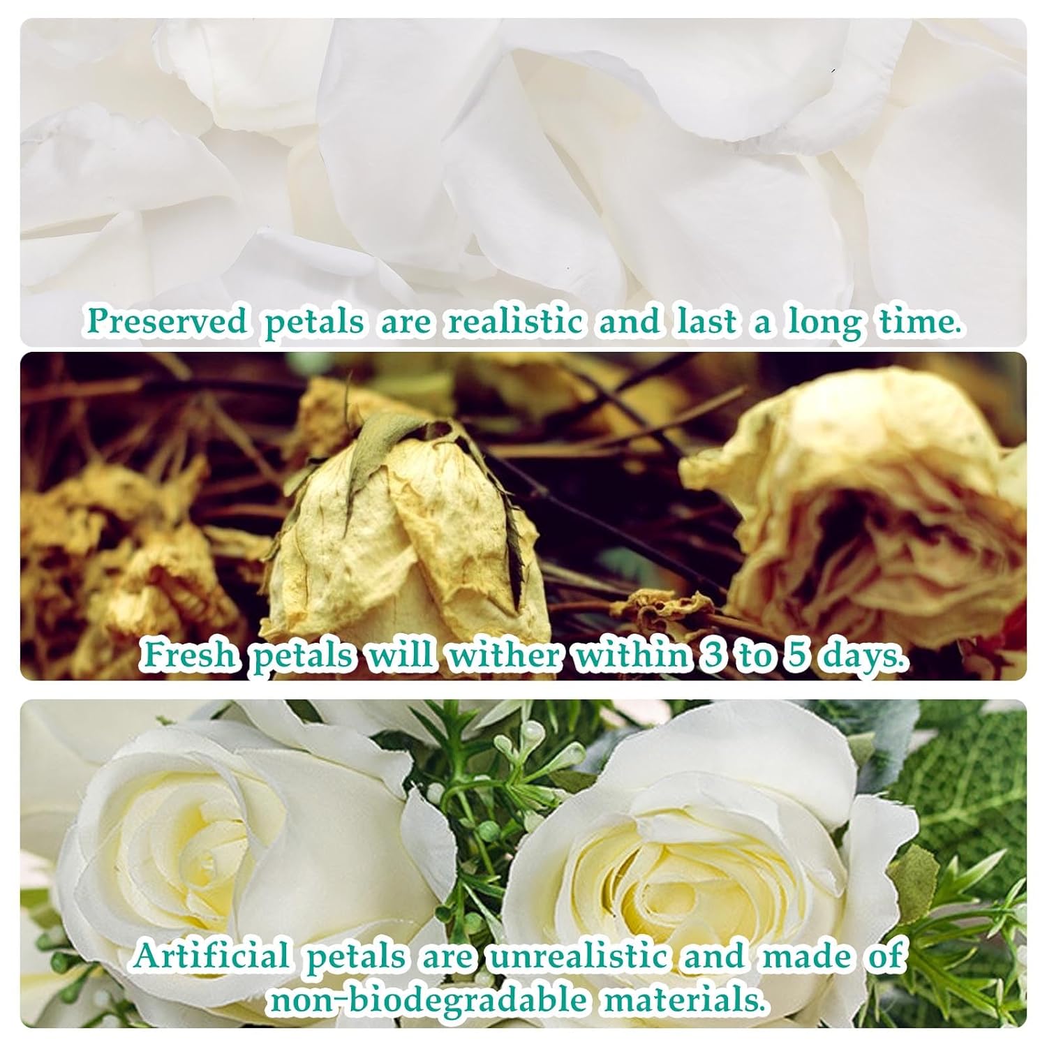 Dried Real Rose Petals, Natural Preserved Dry Flower Petals For Wedding Party Dinner Table Decor, Romantic Night For Her Set, Engagement, Bridal Shower, Valentine'S Day, Confetti (3Oz, White)
