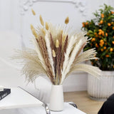 75Pcs Natural Dried Pampas Grass Decor - 17" Fluffy Pampas Grass Bouquet - Boho Home Decor Dried Flowers For Wedding Floral Room Home Party Table Decorations