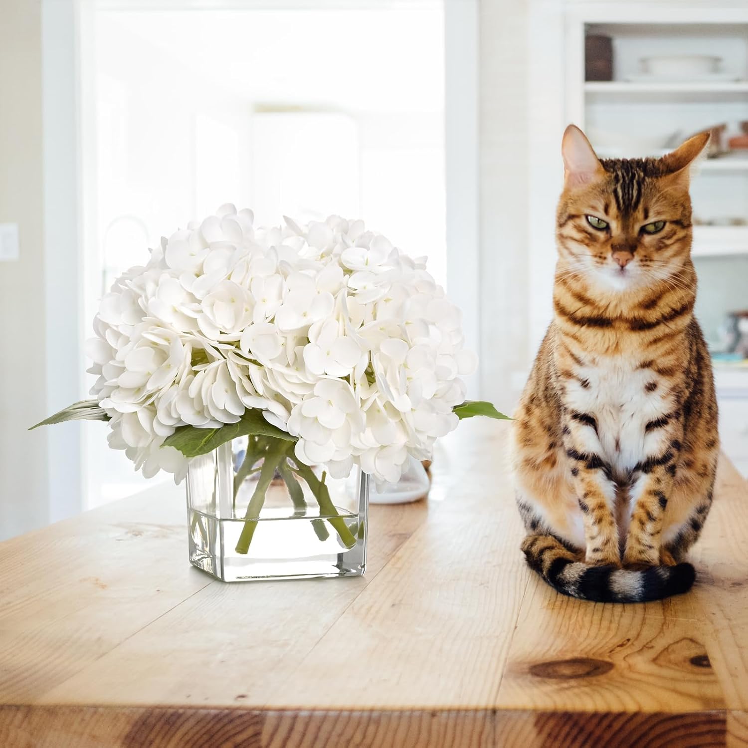 Luxury Pu Fake Flowers In Vase With Faux Water, White Real Touch Hydrangea Artificial Flowers With Glass Vase For Office Home Dining Room Centerpiece Table Decorations