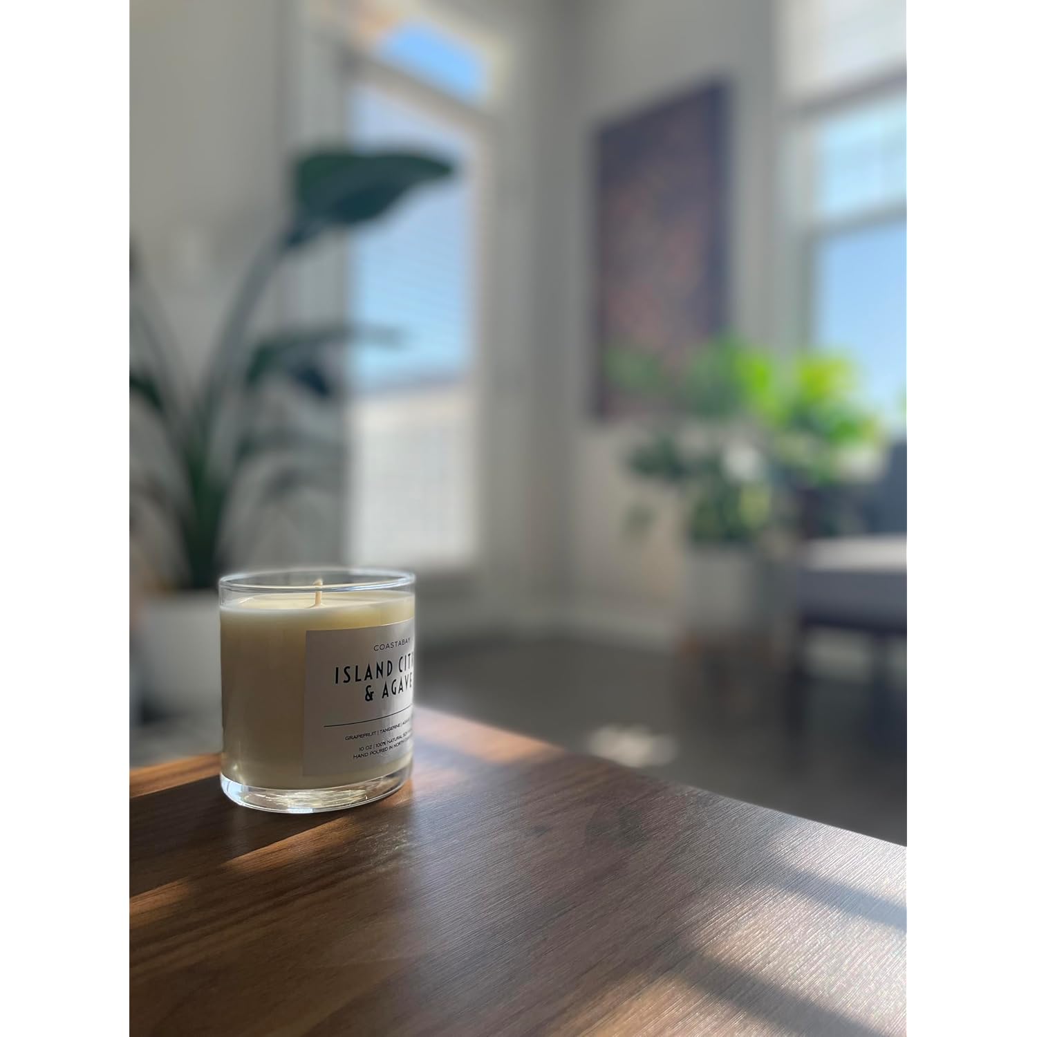 Mint And Grapefruit Candle | Summer Citrus Candles, Handmade In Usa, All Natural Organic 100% Soy Jar Candles, Long Lasting 50+ Hour Burn, 10Oz
