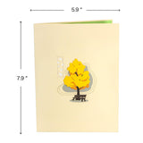 Ginkgo Handmade 3D Tree Pop Up Card For Birthday Thanksgiving Day Mothers Day, Thinking Of You Gift For Men Women Couple Wife Husband, With Envelope