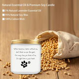 Sympathy Candle Gift For Loss Of Dog, Pet Memorial Gifts For Dogs, Cats